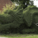 75-Year old man spends 13 years making a dragon from his hedge