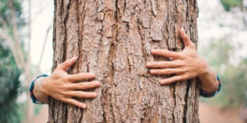 Rethink your relationship with nature: the scope of the loneliness trap