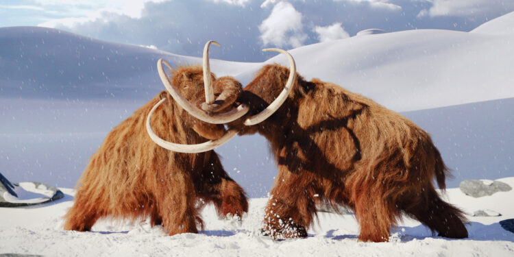 What really happened to mammoths and other ice age giants