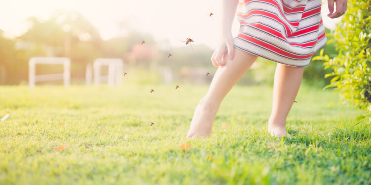 Why does the bite of a mosquito itch so much?