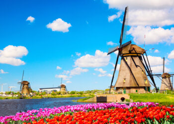 This is where the Dutch windmill is actually for?