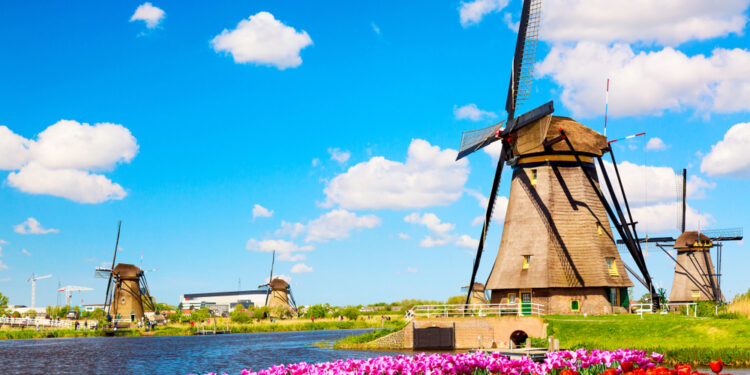 This is where the Dutch windmill is actually for?