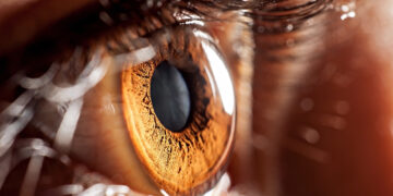 Interesting facts about brown eyes