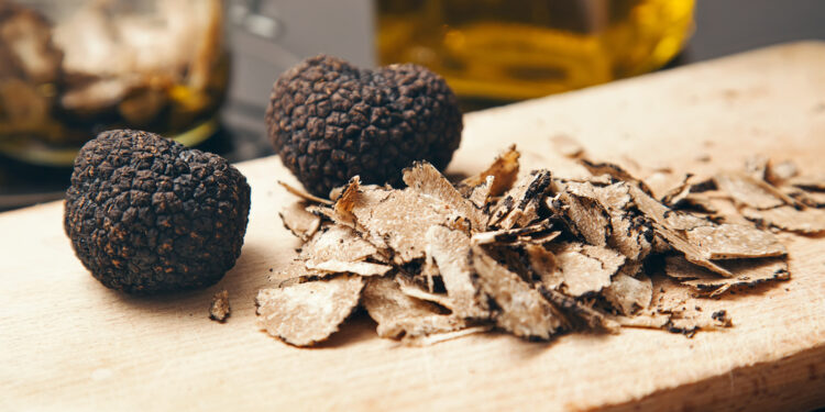 What are truffles and why are they so extremely expensive